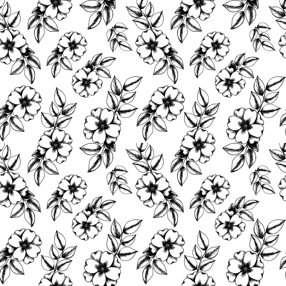 vector naadloos patroon met ster roos illustratie. hand- getrokken uniek bloem patroon. zwart bloemen geïsoleerd Aan wit achtergrond. omhulsel papier, mode textiel, gordijnen, achtergronden. huis decor.