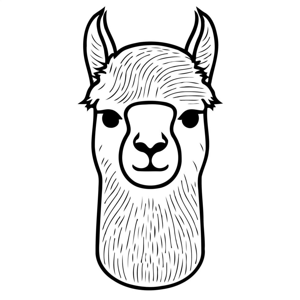 kameelachtigen dier hoofd gebeld alpaca vector