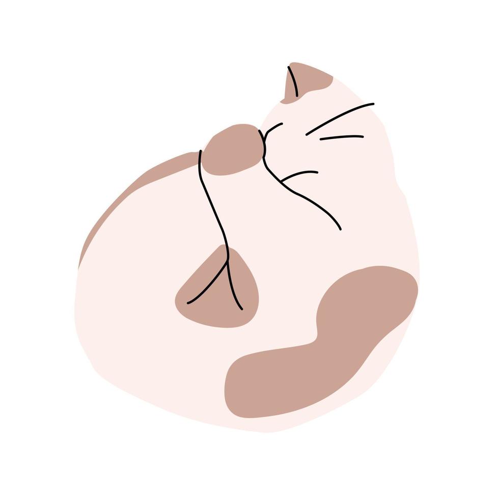 illustratie van kat slapen in een cirkel. geïsoleerd modieus gemakkelijk kunst, schattig beige katje met vlekken nemen een dutje. vector