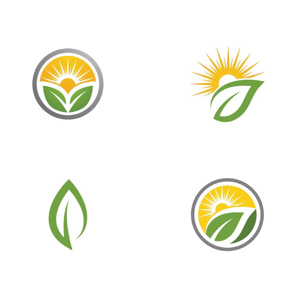 logo's van groene boom blad ecologie vector