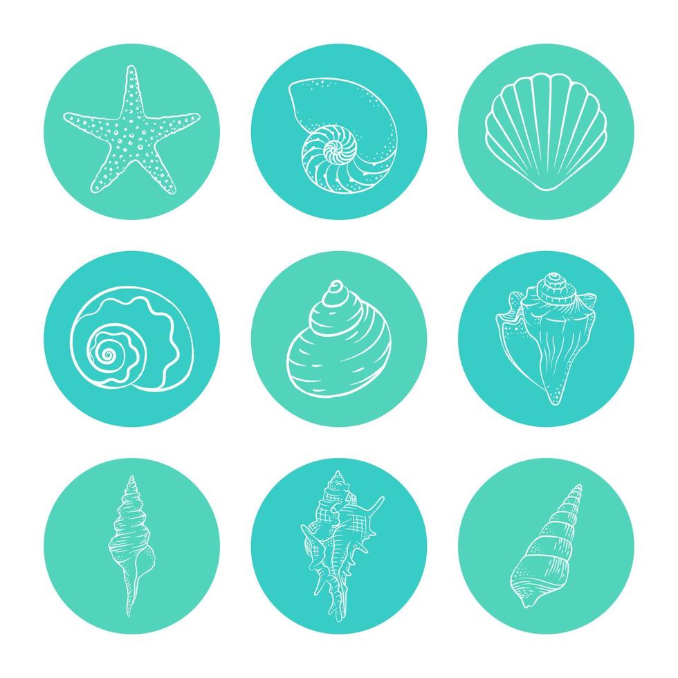 schelpen en zeester sticker set, hand- getrokken aquatisch marinier leven illustratie vector