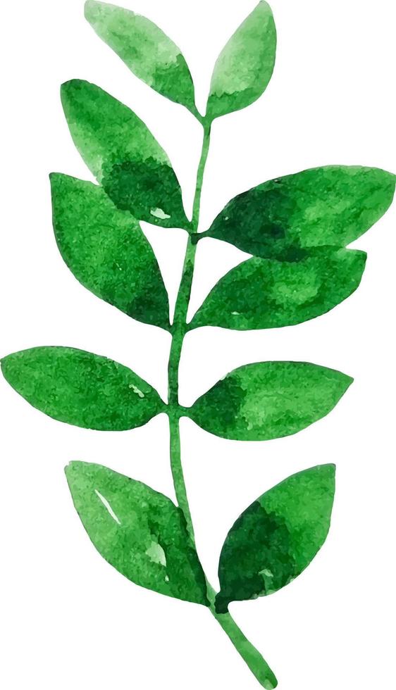 waterverf groen blad geïsoleerd Aan wit hand- getrokken clip art vector