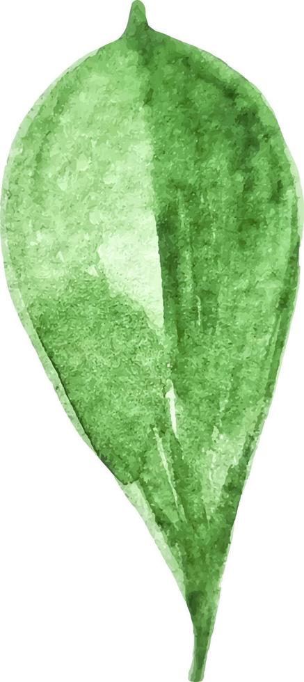 groen blad kastanje waterverf botanisch clip art geïsoleerd vector