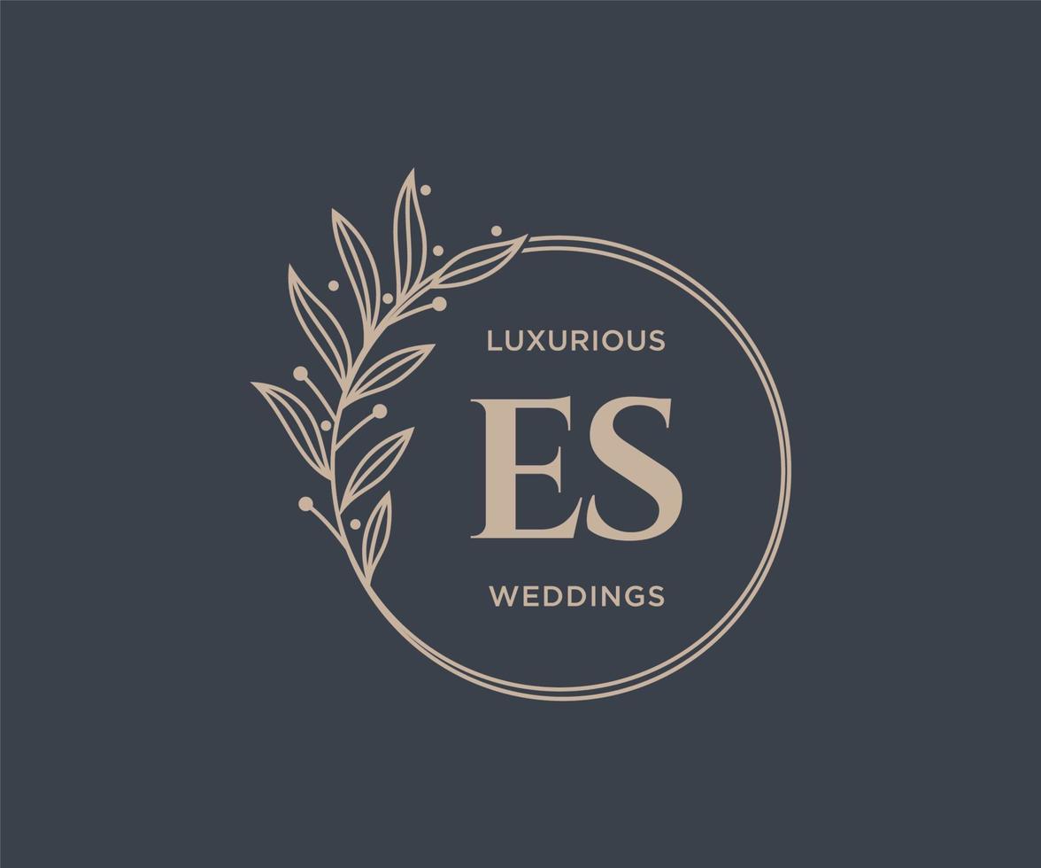 es initialen brief bruiloft monogram logos sjabloon, hand- getrokken modern minimalistisch en bloemen Sjablonen voor uitnodiging kaarten, opslaan de datum, elegant identiteit. vector