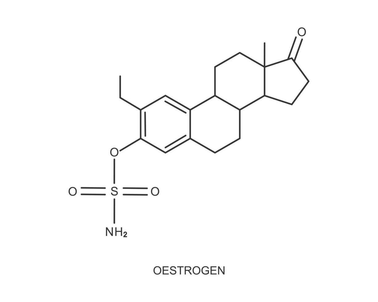 oestrogeen icoon. oestrogeen chemisch moleculair structuur. vrouw steroïde seks hormoon teken geïsoleerd Aan wit achtergrond. hormoon vervanging behandeling concept vector