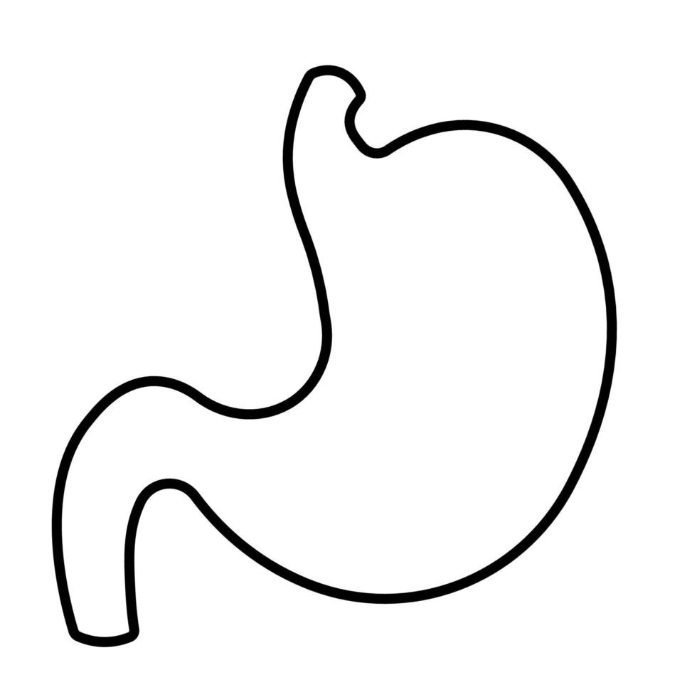 zwart lijn maag icoon voor menselijk anatomie orgaan symbool vector illustratie