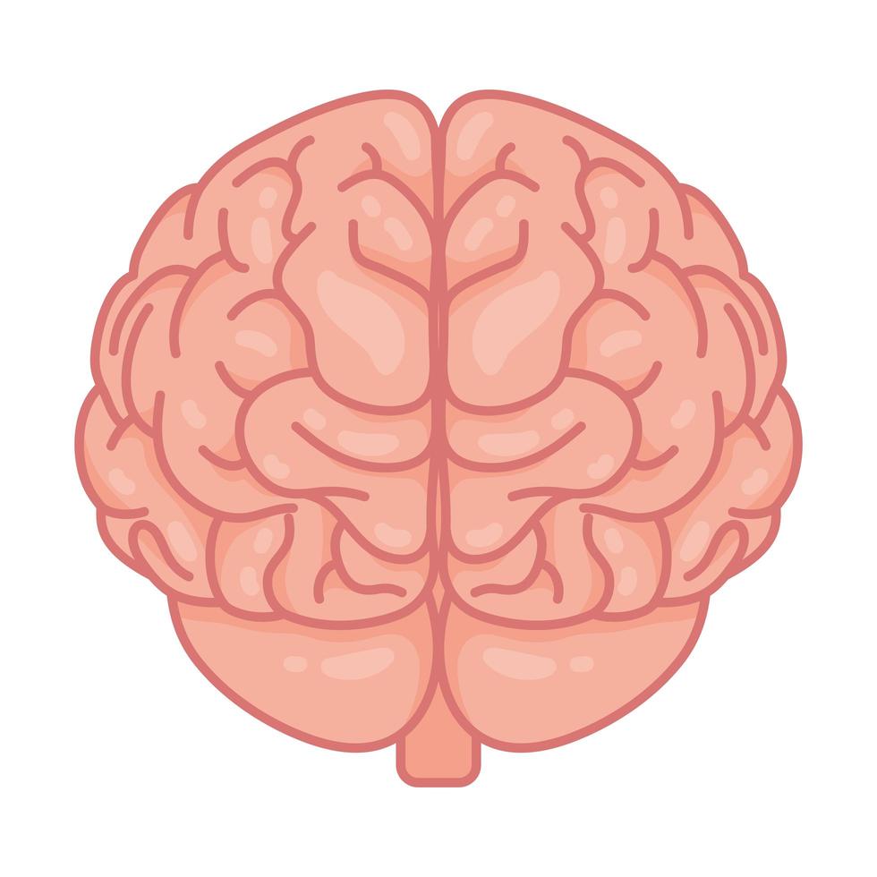 menselijk brein, symbool voor geestelijke gezondheidszorg vector