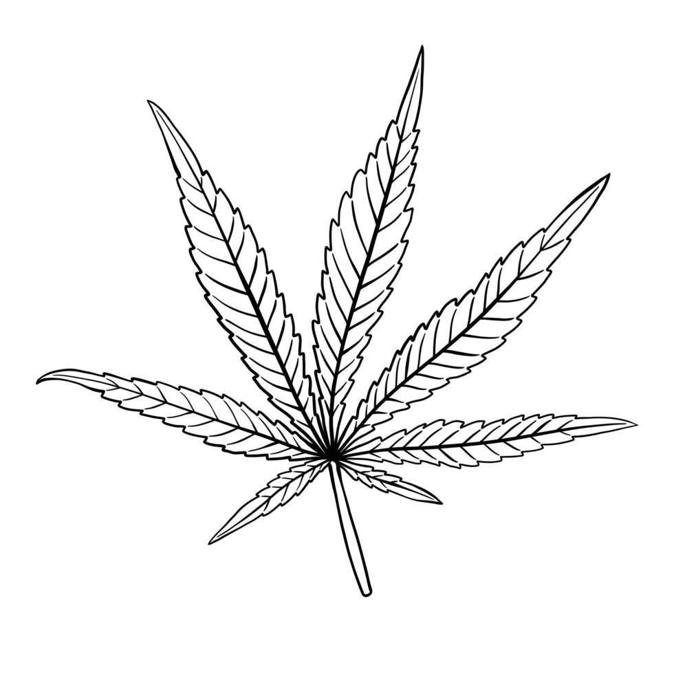 eenvoud cannabisblad uit de vrije hand tekenen plat ontwerp. vector