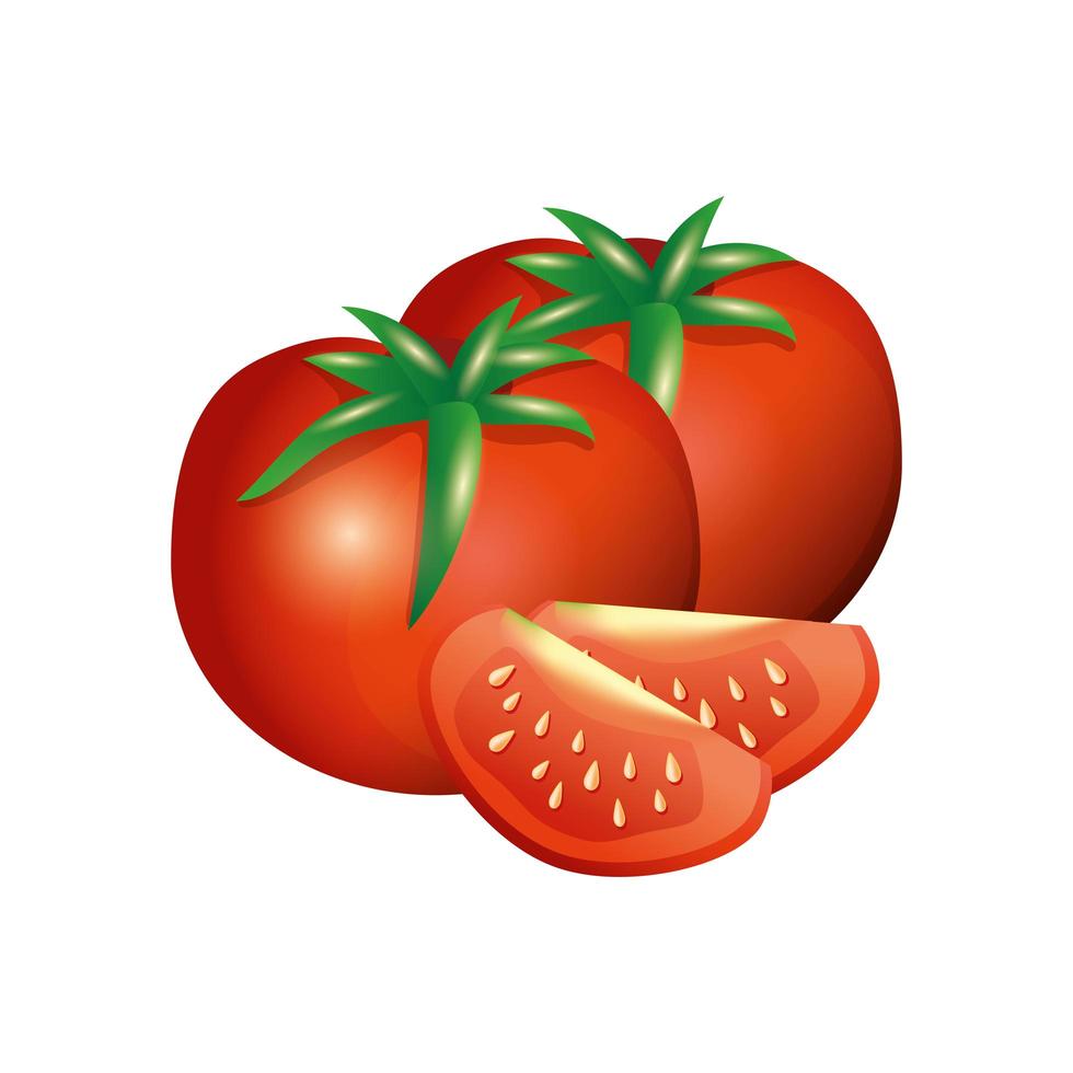 geïsoleerd tomaten plantaardig vectorontwerp vector