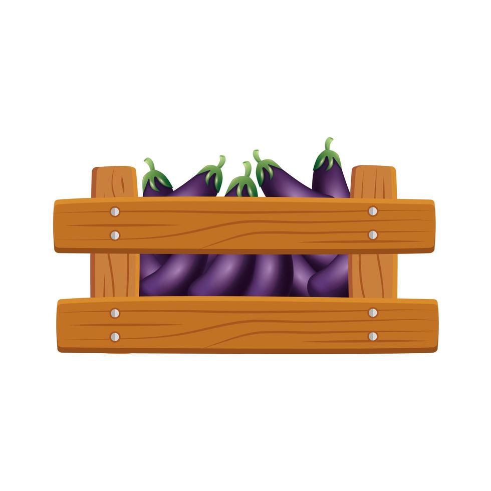 geïsoleerde aubergines in doos vector design