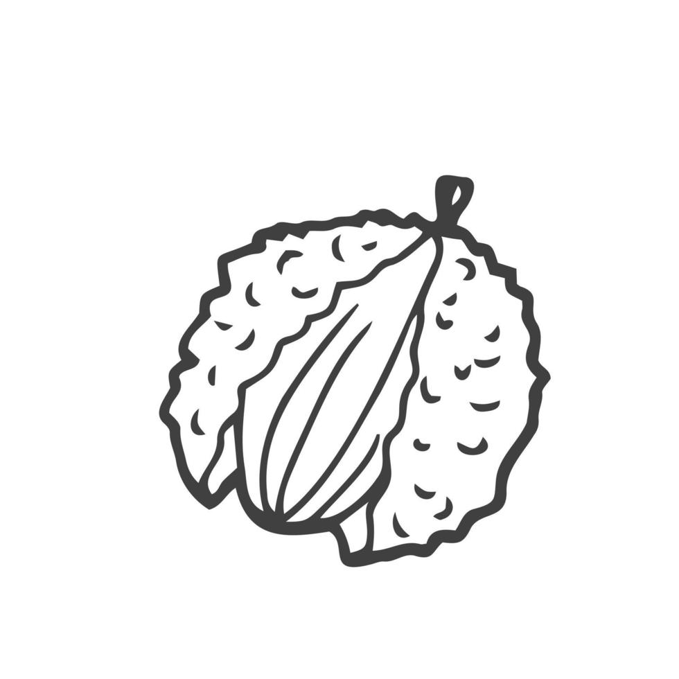 lychee fruit grafisch zwart wit geïsoleerd schetsen illustratie vector