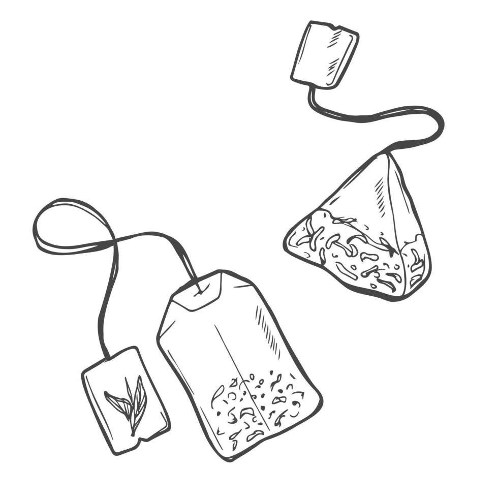 hand- getrokken thee zak geïsoleerd Aan een wit achtergrond. tekening, gemakkelijk schets illustratie. het kan worden gebruikt voor decoratie van textiel, papier. vector