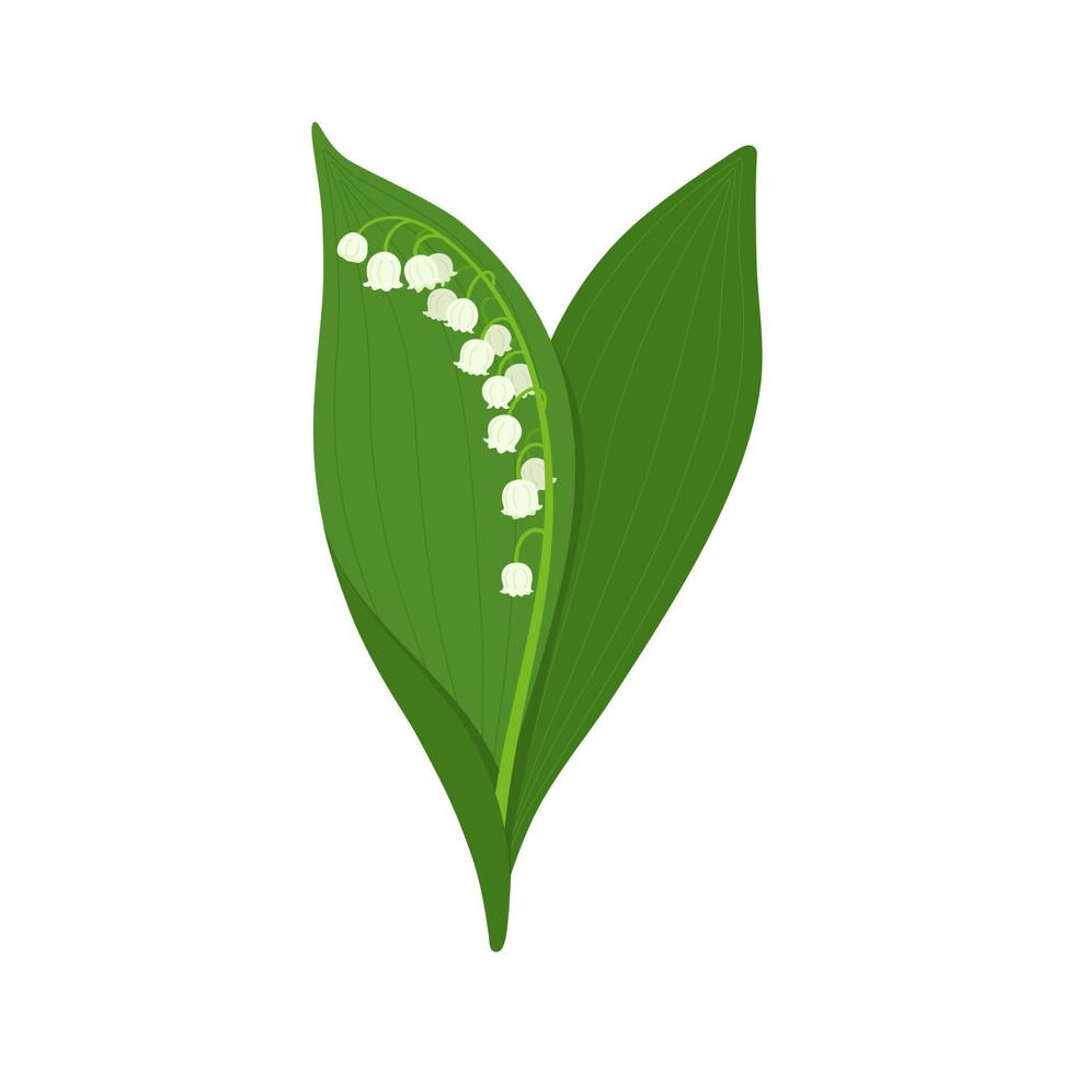 bloeiend mooi lelie van de vallei met groen bladeren. een boeket van bloemen. de thema van natuur en flora. vlak vector ontwerp