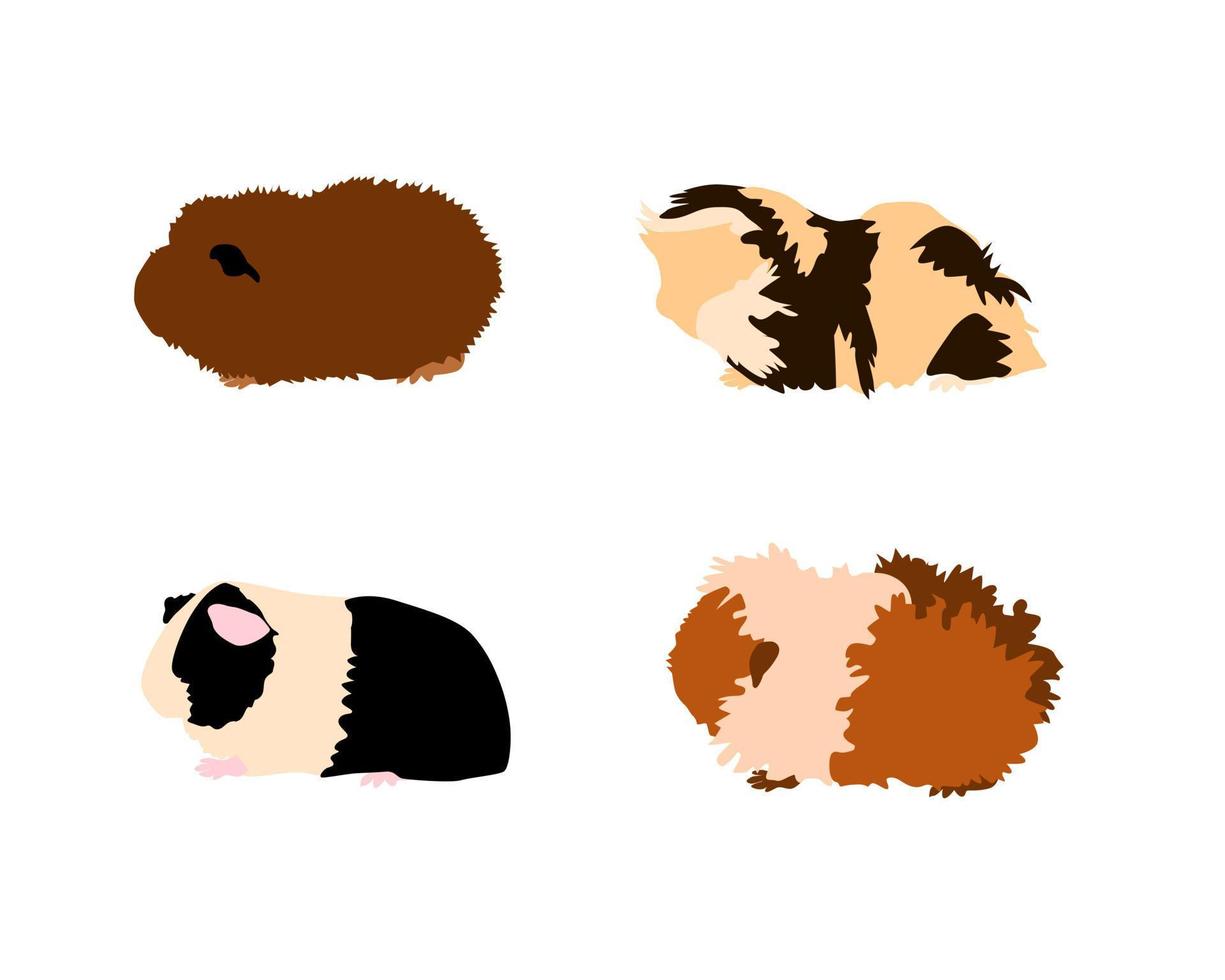 Guinea varken rasr in silhouet stijl. huisdier knaagdieren verzameling en pictogrammen. geïsoleerd vector met verschillend rassen, rex, gemakkelijk, ch-teddy, sheba