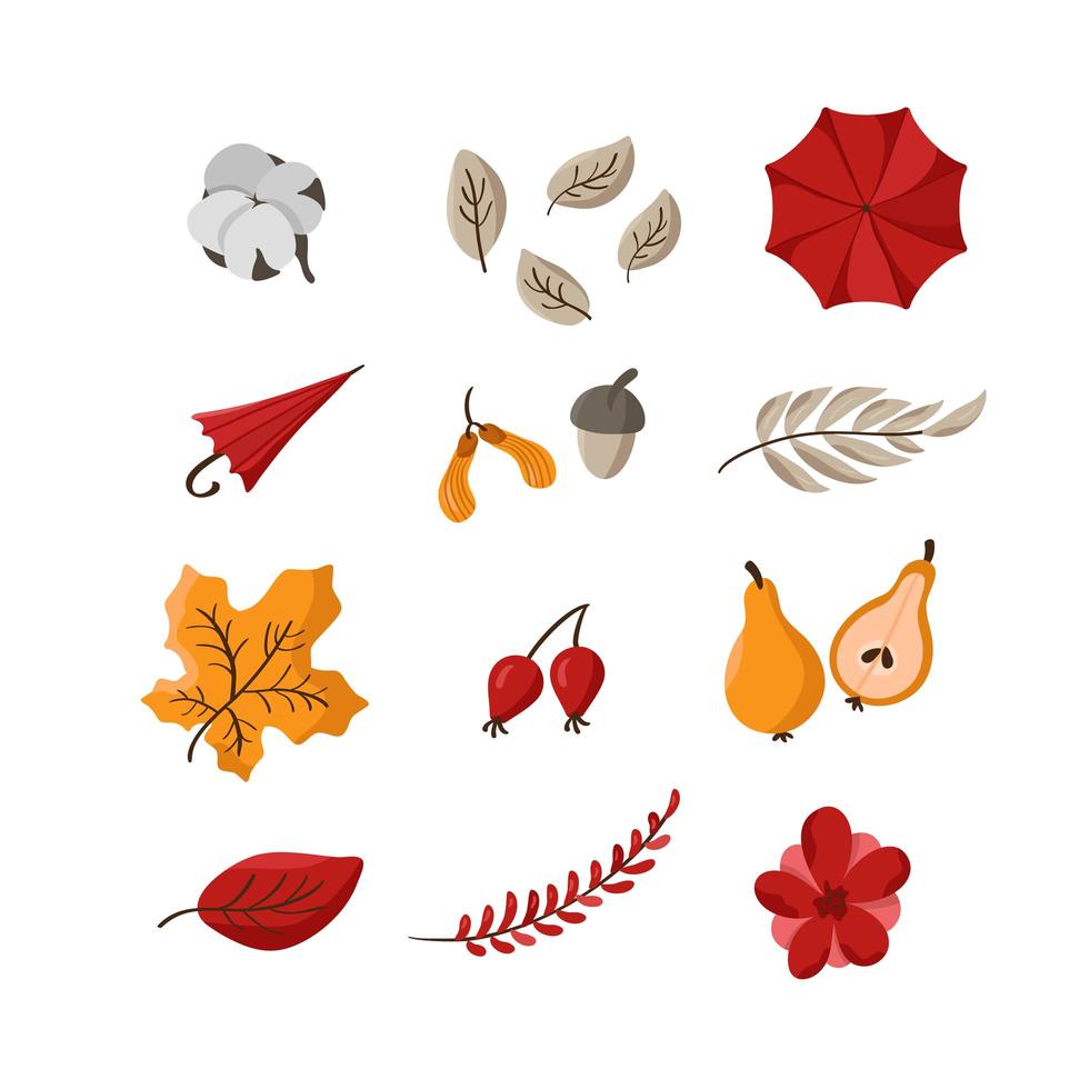vector herfst schattige set. hand getrokken herfst elementen bladeren, paraplu, katoen, bessen en fruit. herfst illustraties voor web kaart poster dekking tag uitnodiging sticker illustratie