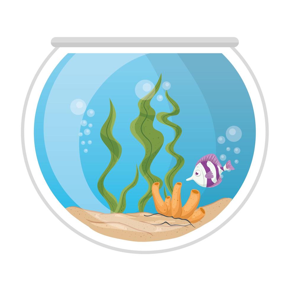 aquariumvissen met water, zeewier, koraal, aquariumvissen vector