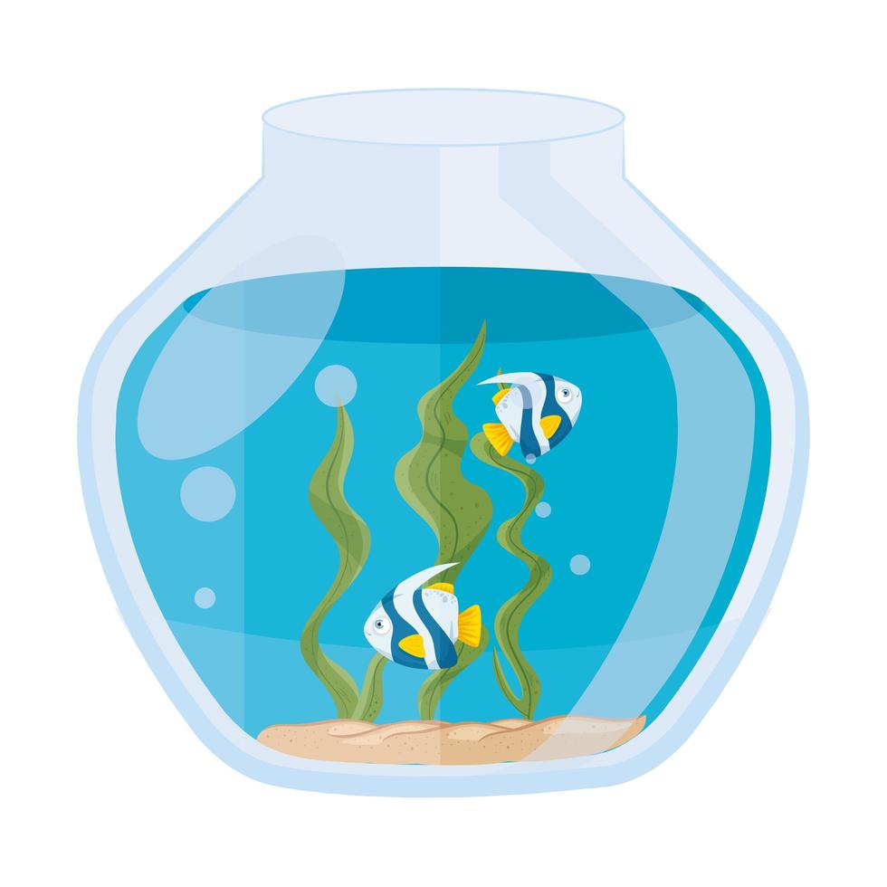 aquariumvissen met water, zeewier, aquariumdieren vector