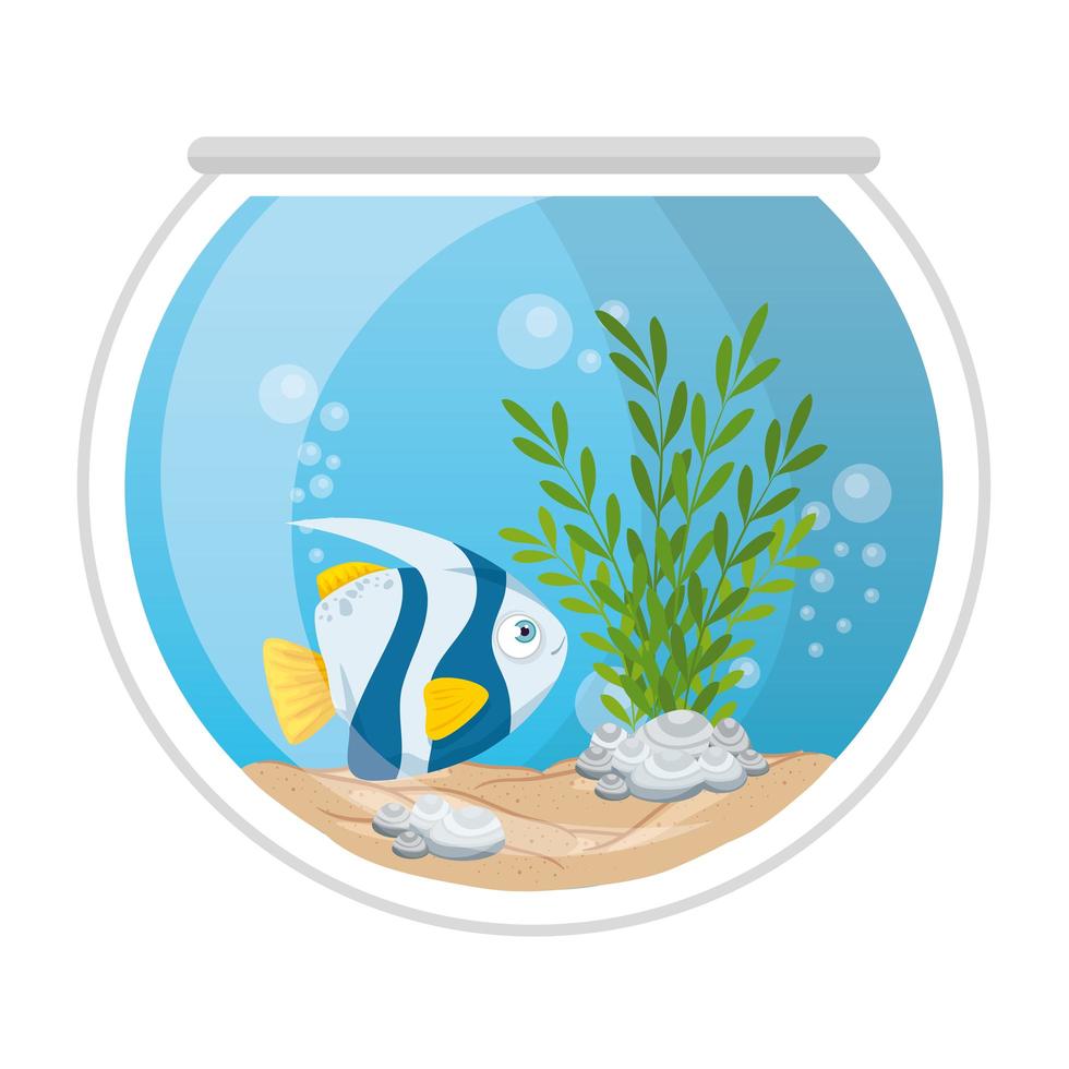 aquariumvissen met water, zeewier, aquariumdieren vector