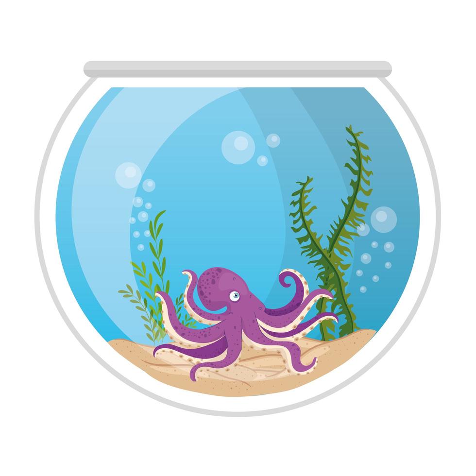 aquarium octopus met water, zeewier, aquarium zeehuisdier vector