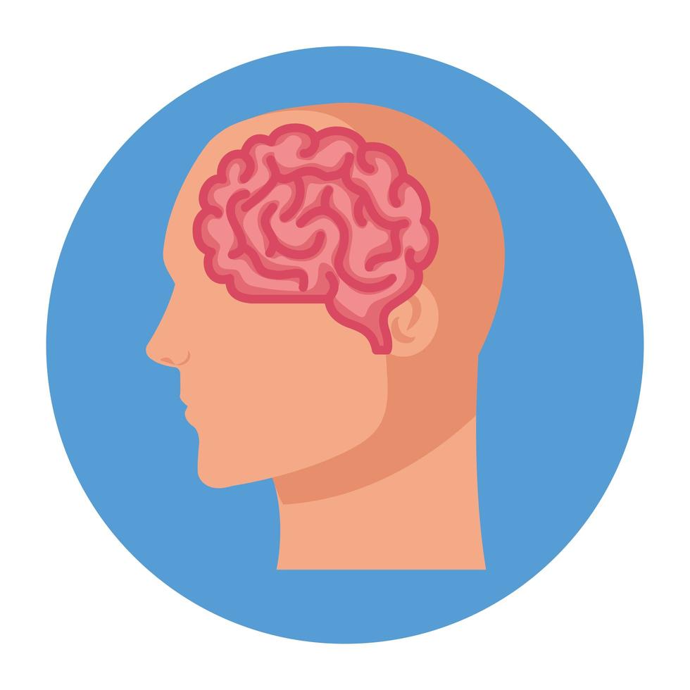 silhouet van menselijk profiel met hersenen, op witte achtergrond vector