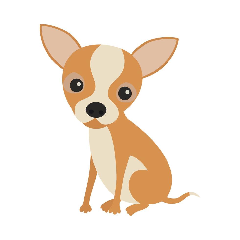 weinig schattig zittend chihuahua pup. vector