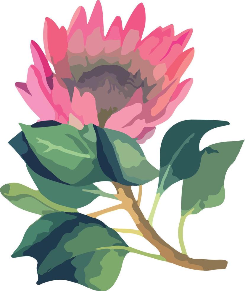 reeks realistisch vector illustratie van protea bloemen. tropisch koning bloem protea in bloeien. ontwerp voor het drukken groet kaart, uitnodiging, kleding stof, omhulsel papier.