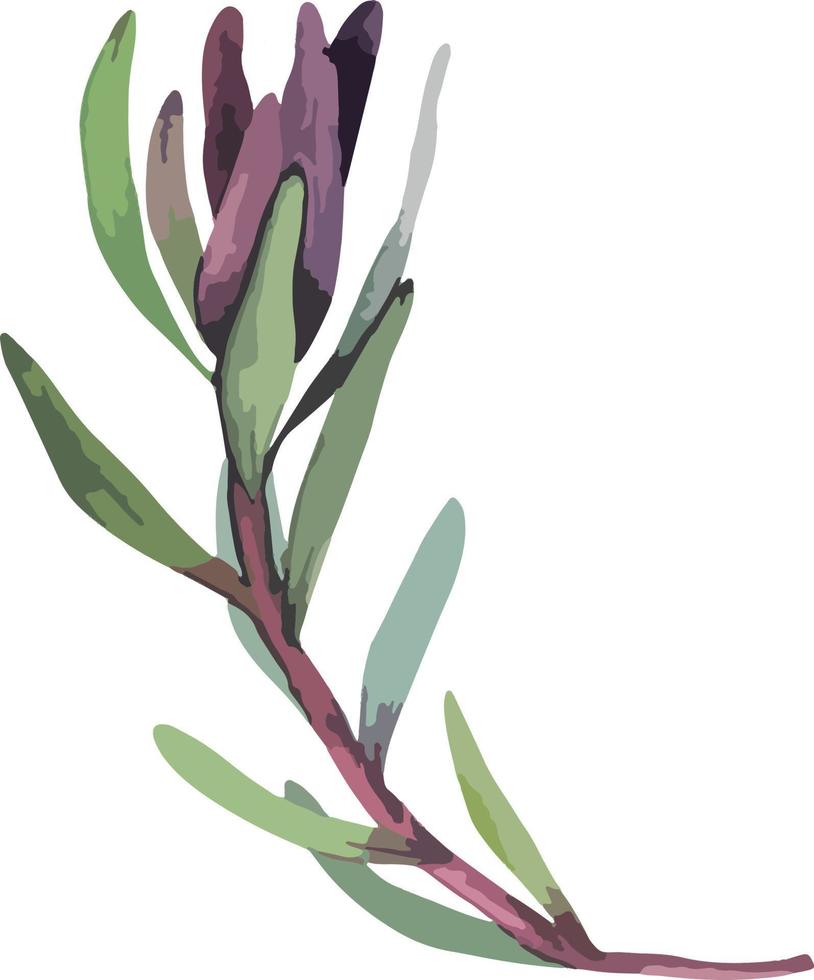 reeks realistisch vector illustratie van protea bloemen. tropisch koning bloem protea in bloeien. ontwerp voor het drukken groet kaart, uitnodiging, kleding stof, omhulsel papier.