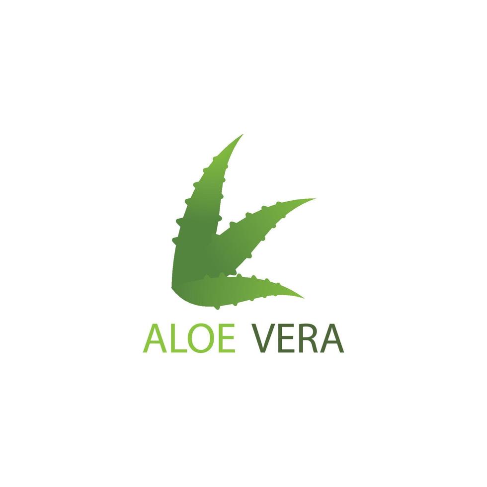 aloë vera logo vector