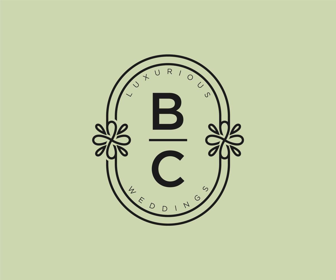 bc initialen brief bruiloft monogram logos sjabloon, hand- getrokken modern minimalistisch en bloemen Sjablonen voor uitnodiging kaarten, opslaan de datum, elegant identiteit. vector