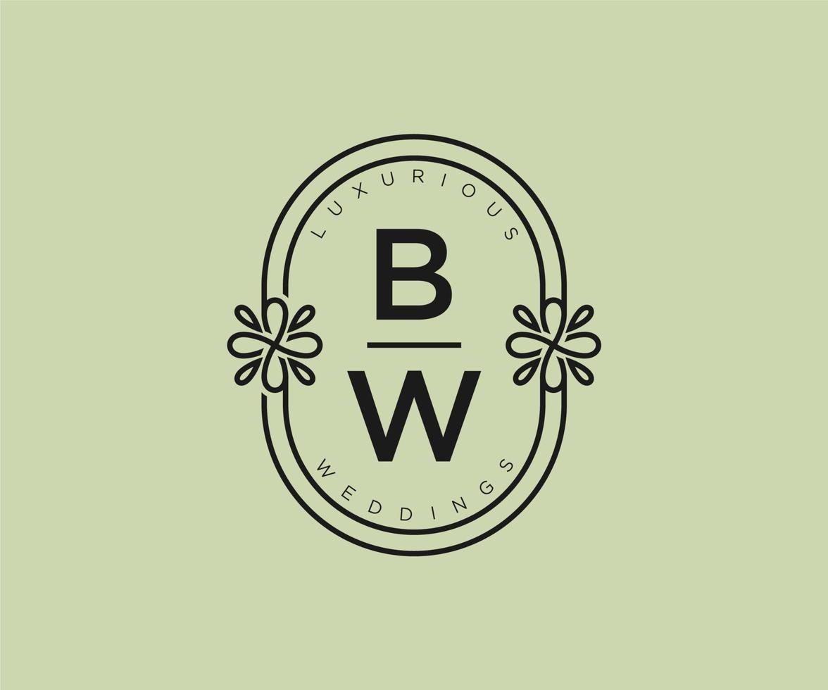 bw initialen brief bruiloft monogram logos sjabloon, hand- getrokken modern minimalistisch en bloemen Sjablonen voor uitnodiging kaarten, opslaan de datum, elegant identiteit. vector