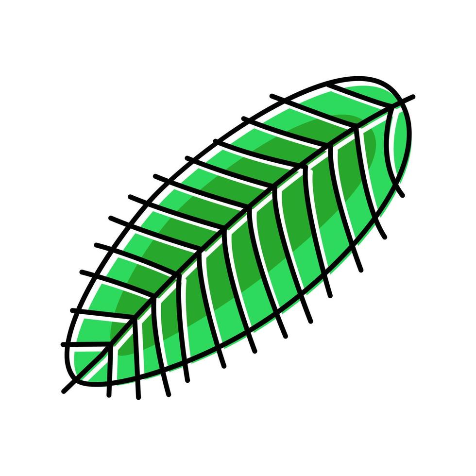 kokosnoot tropisch blad kleur icoon vector illustratie