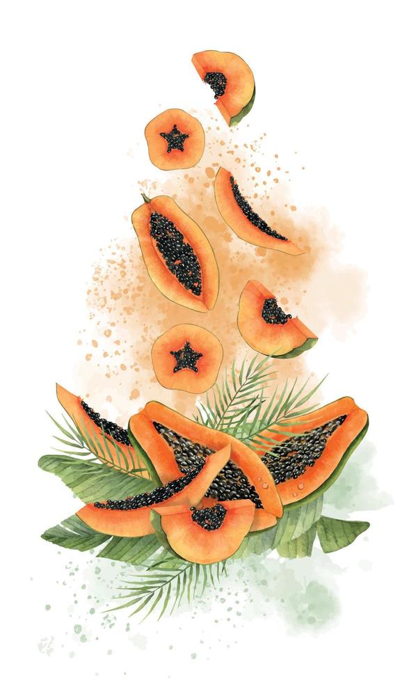 exotisch tropisch papaja fruit. waterverf hand- getrokken illustratie van sap toetje Aan geïsoleerd achtergrond. verticaal samenstelling met abstract spatten en groen palm bladeren. tekening voor voedsel vector