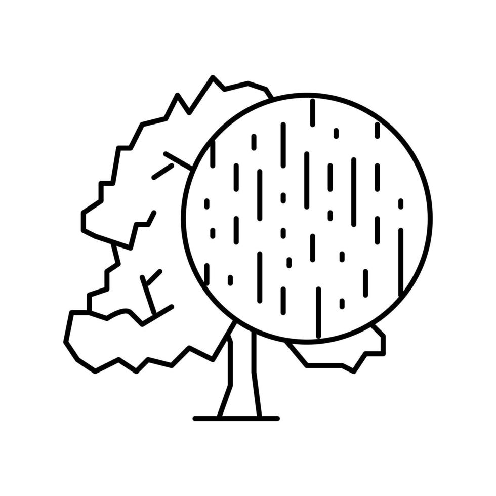 beukenhout lijn pictogram vectorillustratie vector