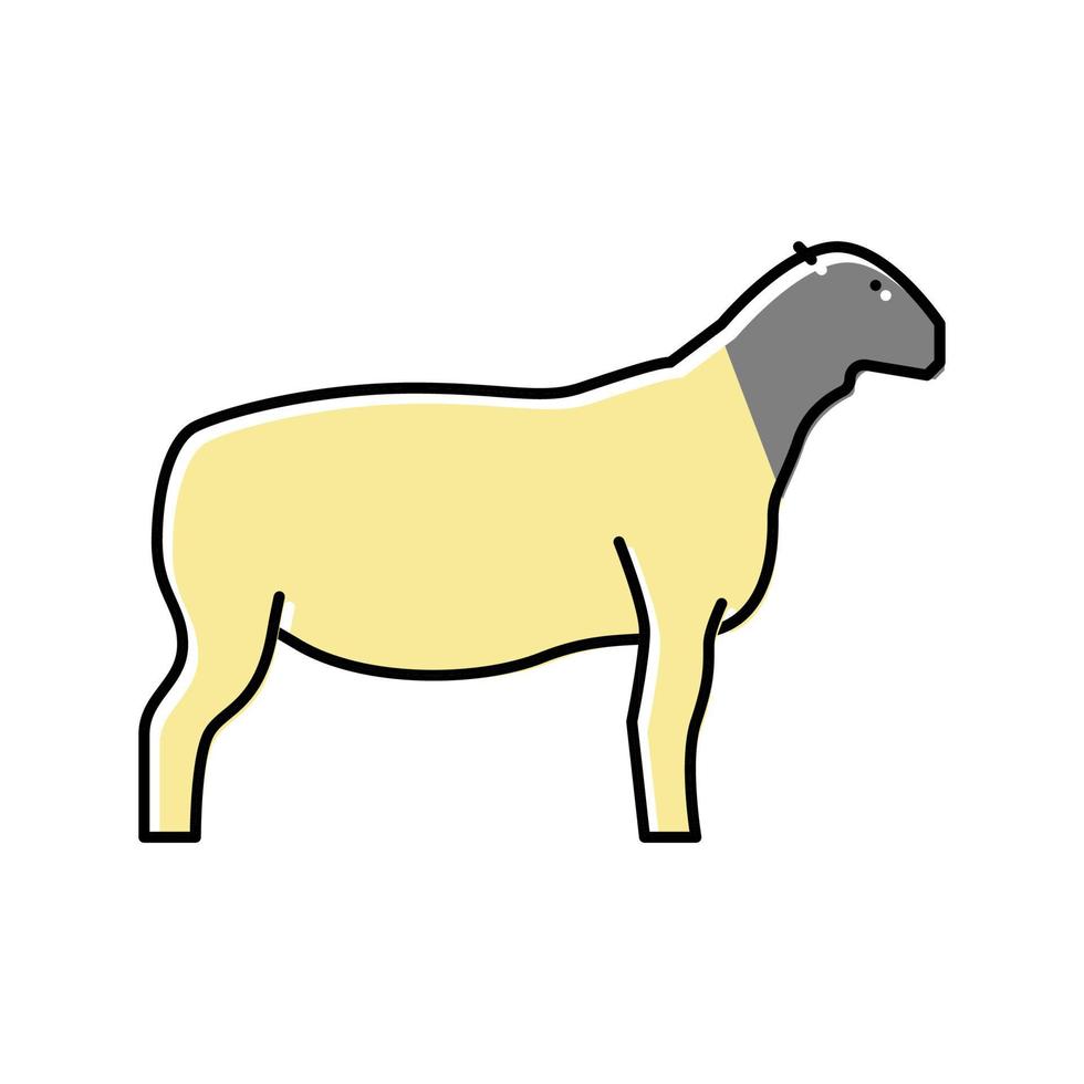 dorper schapen kleur pictogram vectorillustratie vector