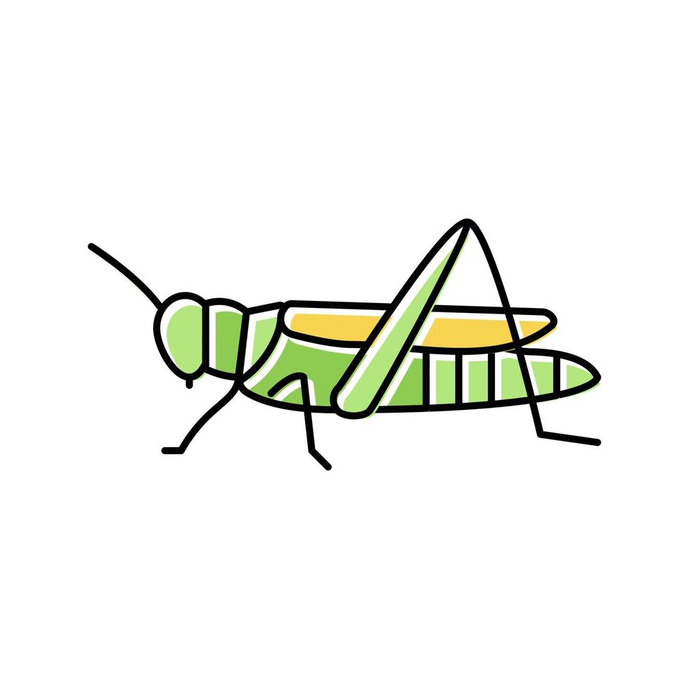 sprinkhaan insect kleur pictogram vectorillustratie vector