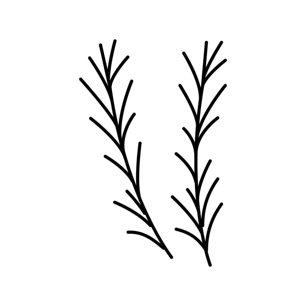 rozemarijn kruiden aromatherapie lijn pictogram vector geïsoleerde illustratie