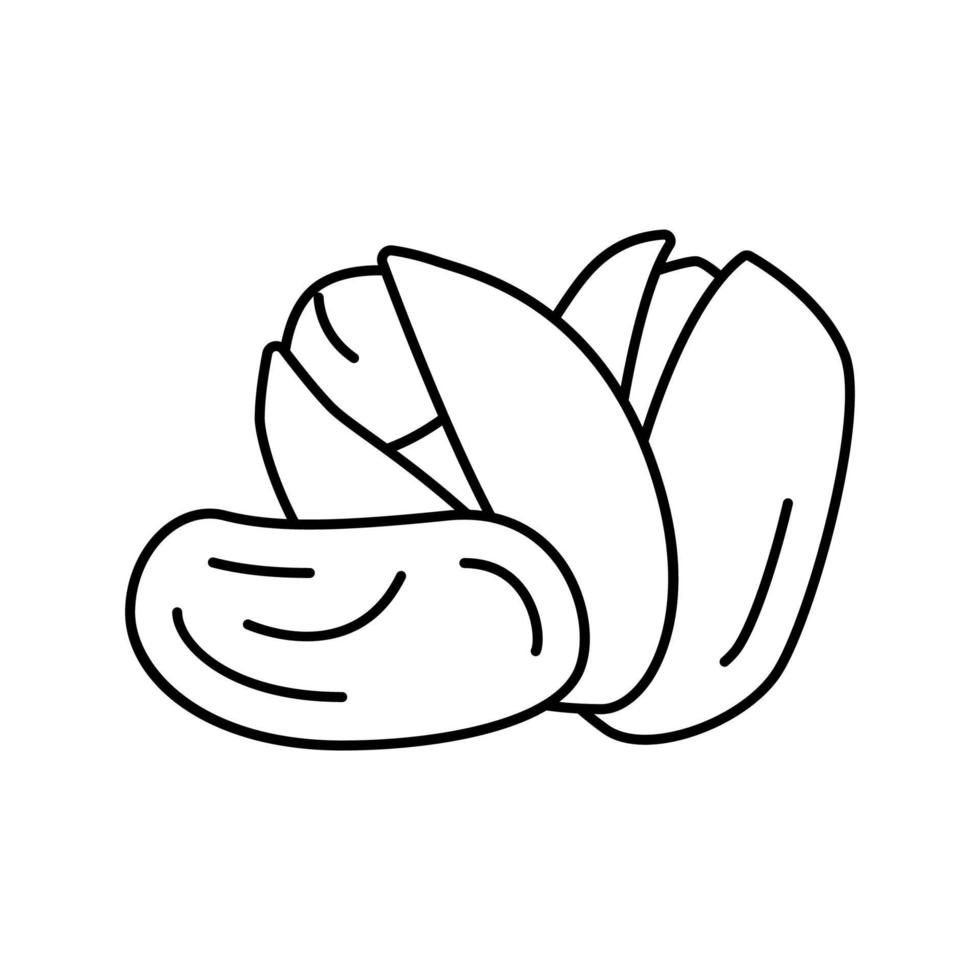 pistachenoot lijn pictogram vectorillustratie vector