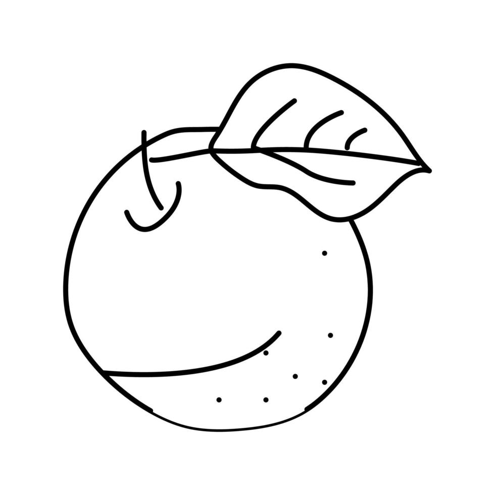 groen rijp appel fruit lijn icoon vector illustratie