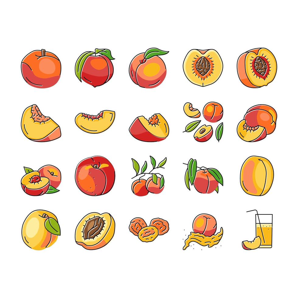 perzik fruit nectarine sappig pictogrammen reeks vector