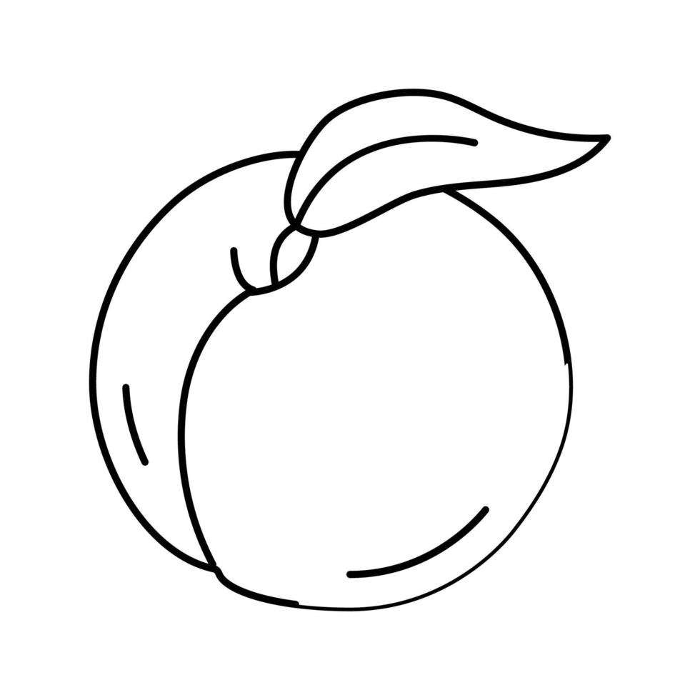 vers oranje perzik lijn icoon vector illustratie