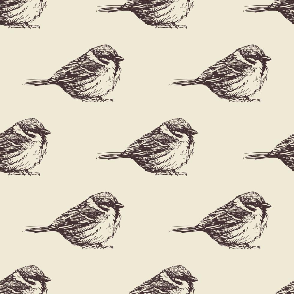 patroon van hand getekend vogelstand Aan een melkachtig achtergrond voor het drukken en decoratie. vector illustratie.