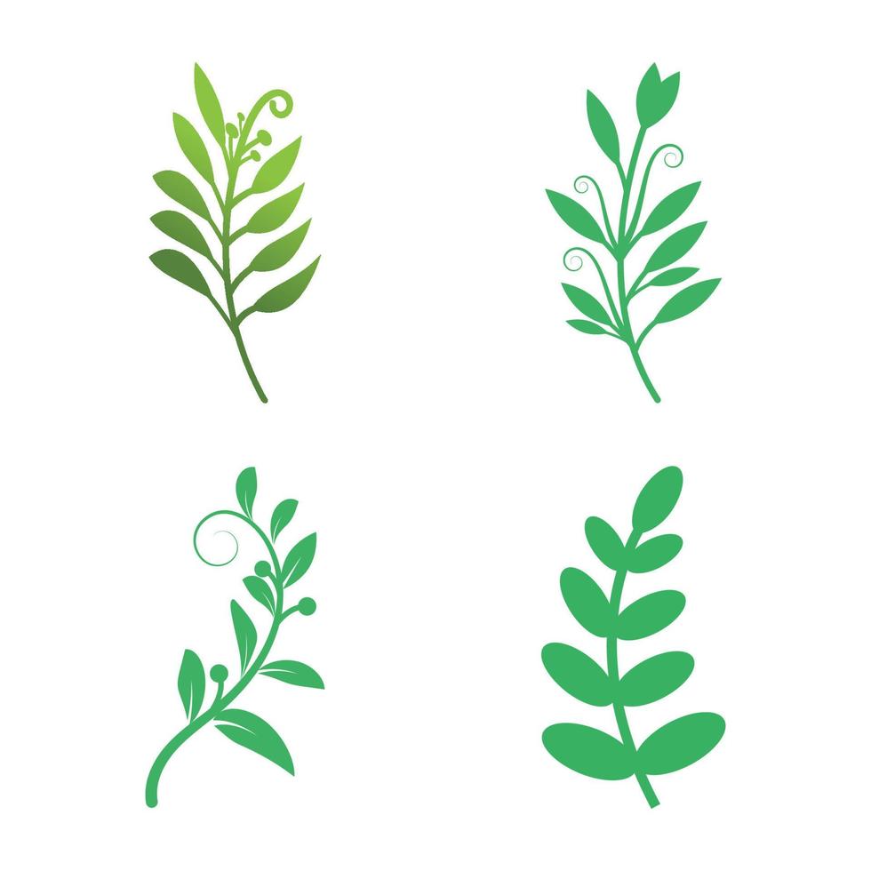 groen bladeren botanisch logo vector en symbool ontwerp