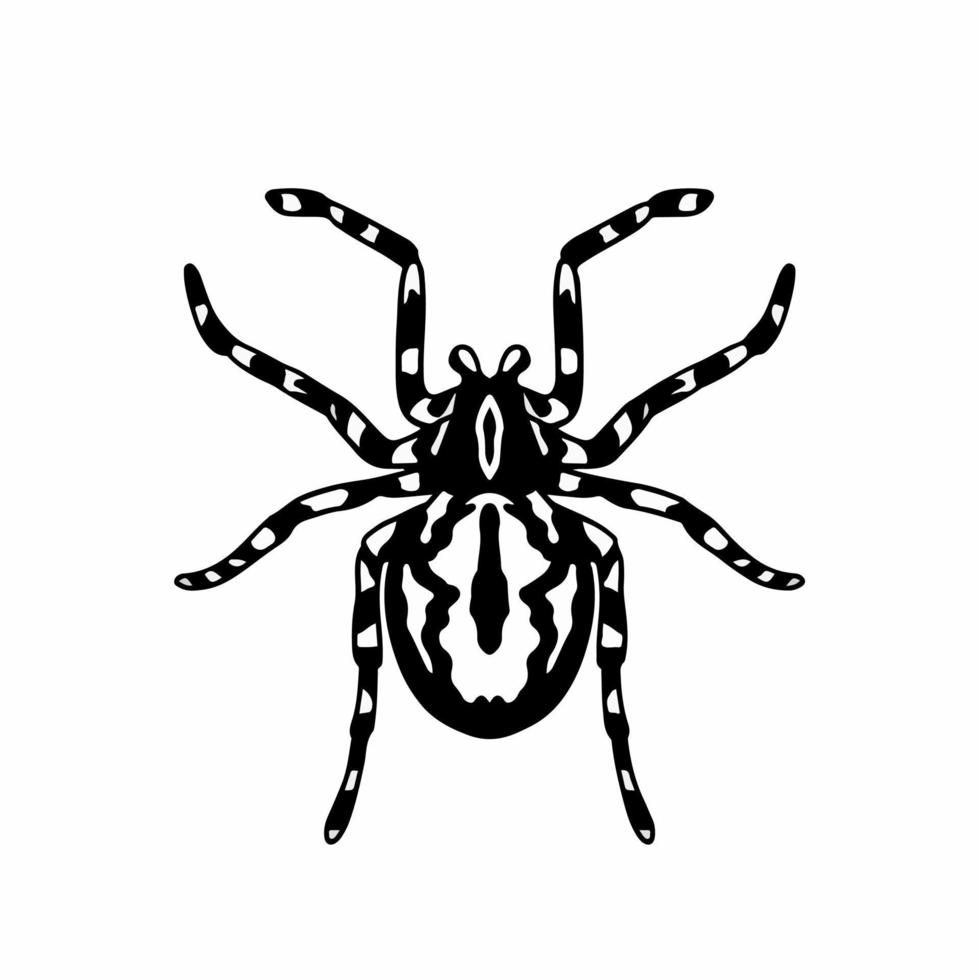 tarantula logo symbool. stencil ontwerp. dier tatoeëren vector illustratie.