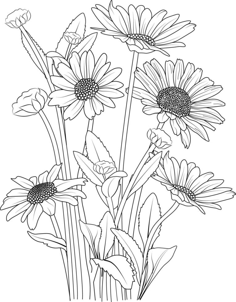 geïsoleerd madeliefje bloem, hand- getrokken vector schetsen illustratie, botanisch verzameling Afdeling van blad bloemknoppen natuurlijk verzameling kleur bladzijde, bloemen boeketten gegraveerde inkt kunst.