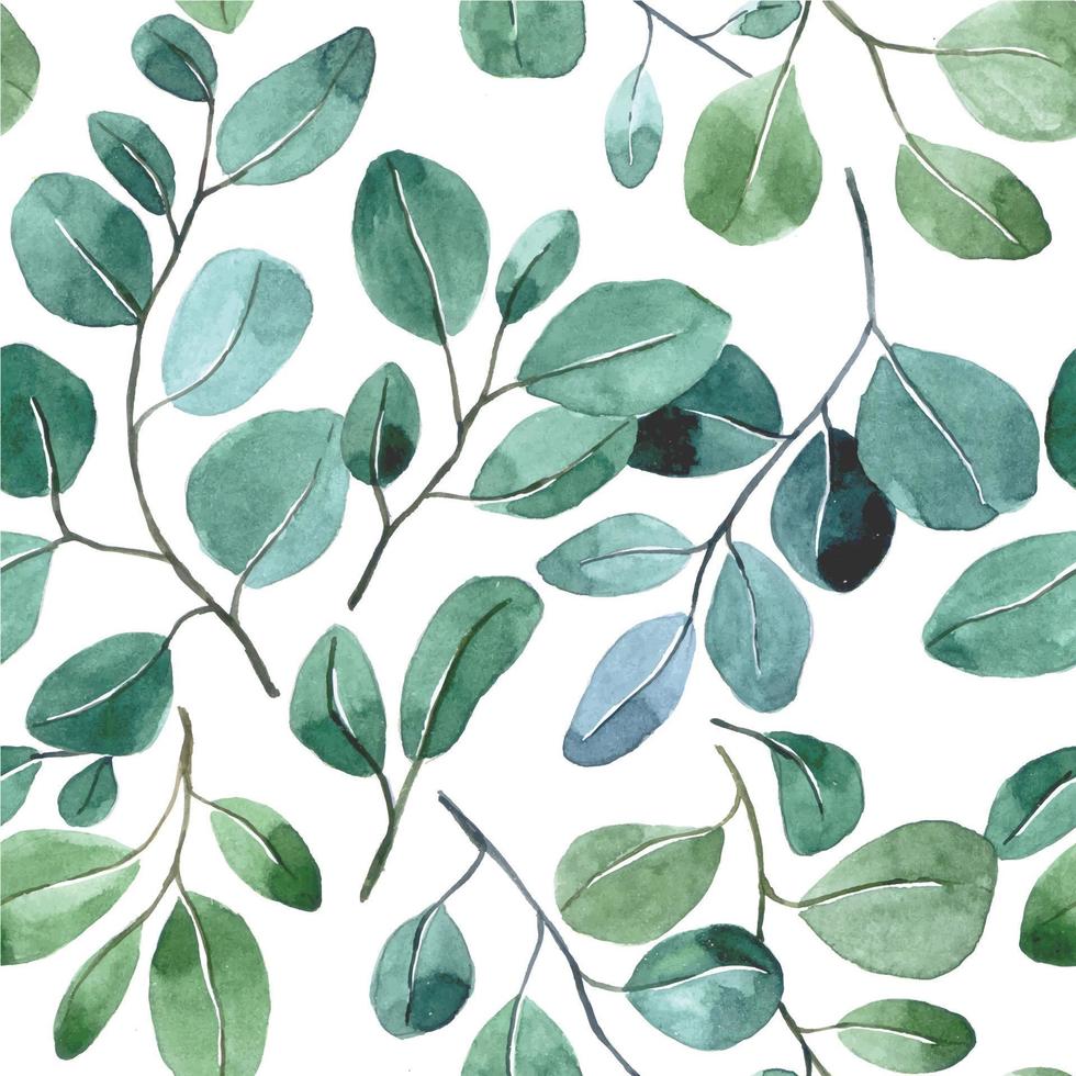 waterverf naadloos patroon met tropisch eucalyptus bladeren Aan een wit achtergrond. gemakkelijk abstract afdrukken met groen bladeren vector