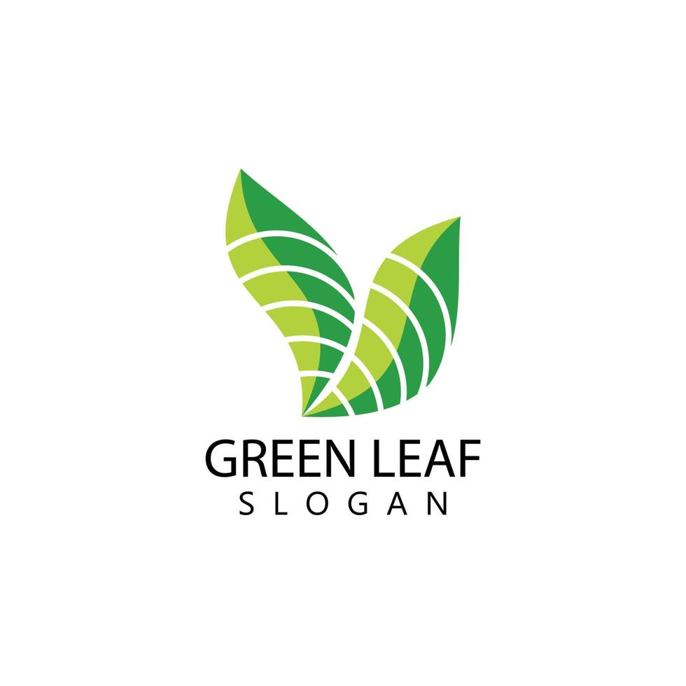 groen blad logo vector