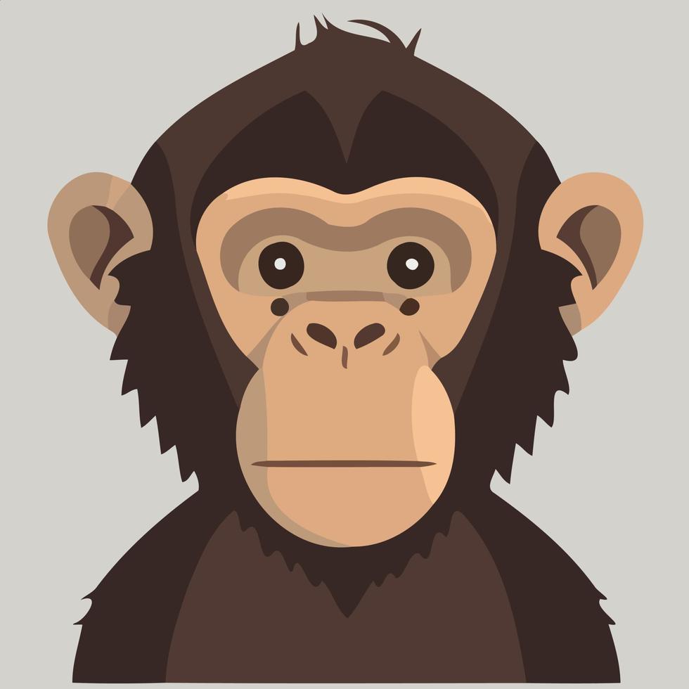 dier zoogdier schattig primaat chimpansee vector
