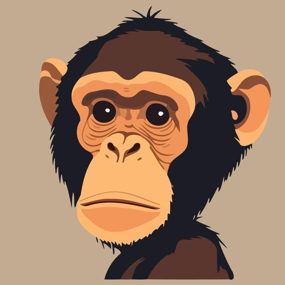 dier zoogdier schattig primaat chimpansee vector