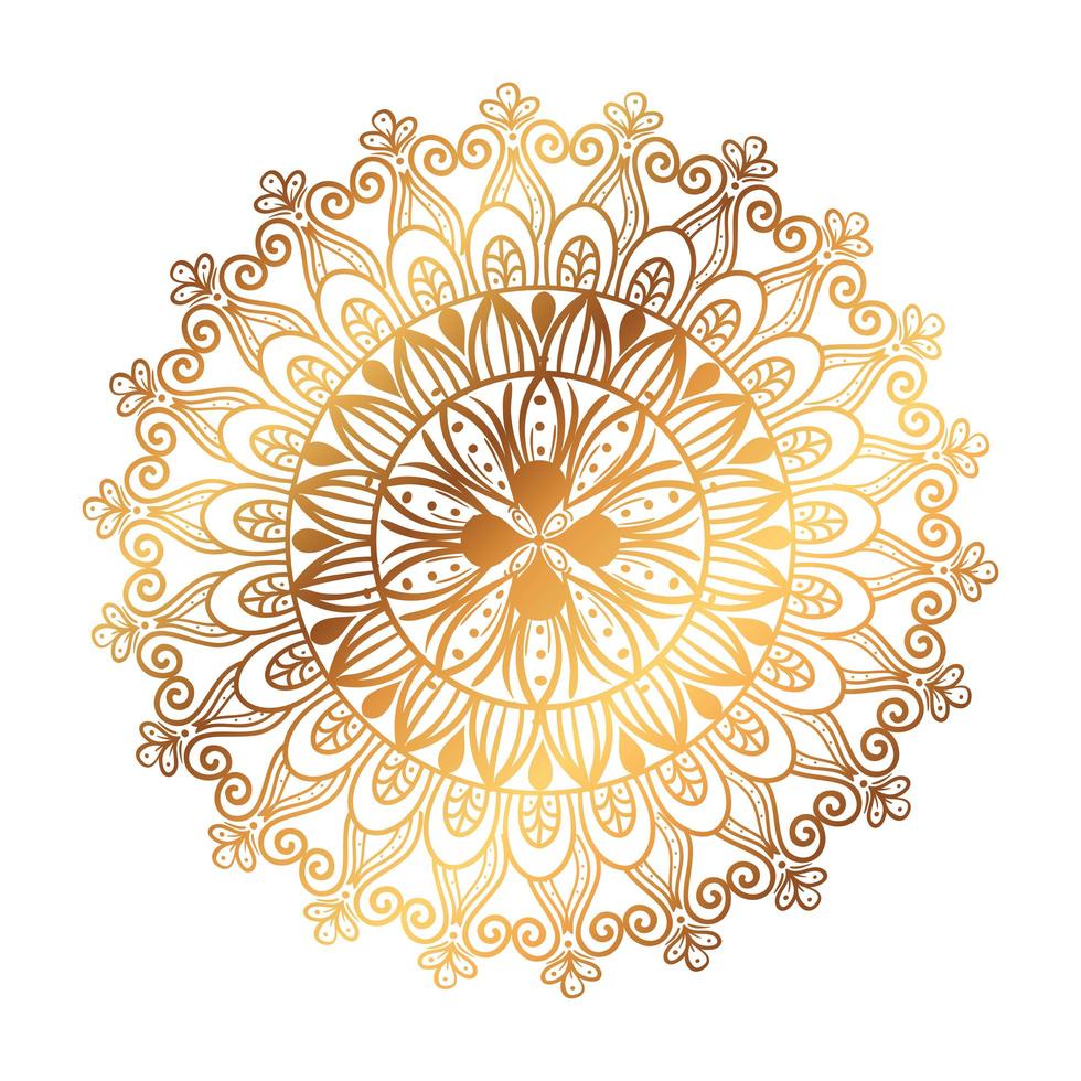 gouden mandala op witte achtergrond vector