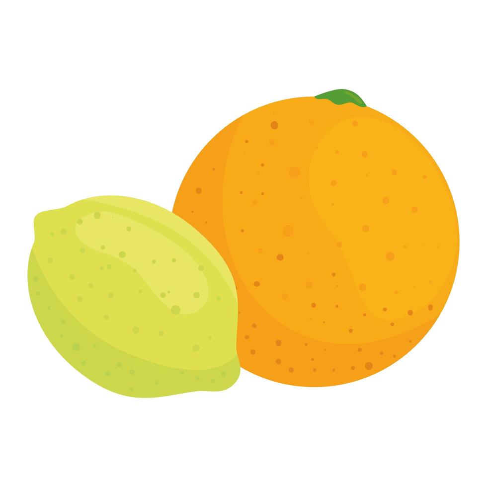 vers fruit, sinaasappel en citroen, op witte achtergrond vector